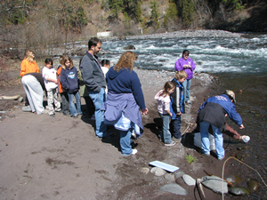 Wishram School students release the salmon fry they raised in their classroom into the Klickitat River